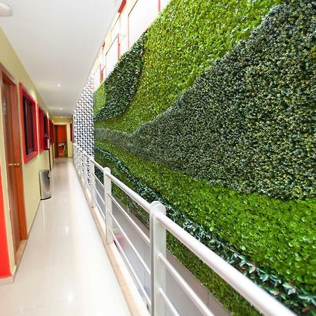 Hotel Lira - Solo Adultos Mexico City Exterior photo